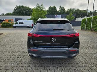 Mercedes EQA 250+ AHK/KAM/NAVI picture 16