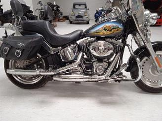 Harley-Davidson Fat Boy Custom Bison FLSTF picture 18