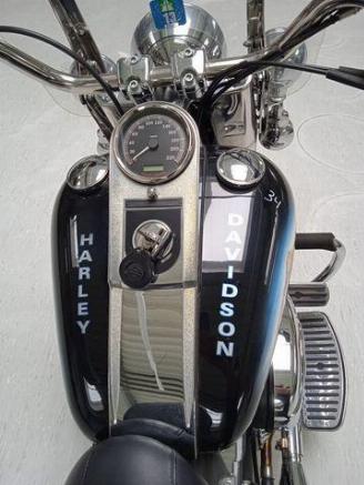 Harley-Davidson Fat Boy Custom Bison FLSTF picture 12