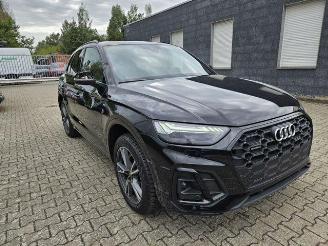 Vaurioauto  passenger cars Audi Q5 45 TFSI quattro S line PANO/AHK/KAM/NAVI 2022/9