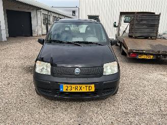 Fiat Panda  picture 2