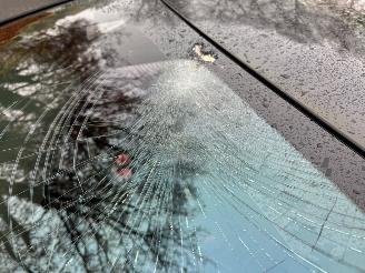 Volkswagen ID.7 Volkswagen ID.7 Pro S 210 kW Panorama Camera AHK Ambiance HUD VOL picture 22