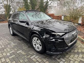 Audi E-tron Audi E-tron 55 Quattro S-Line Panorama Leder Trekhaak VOL picture 12