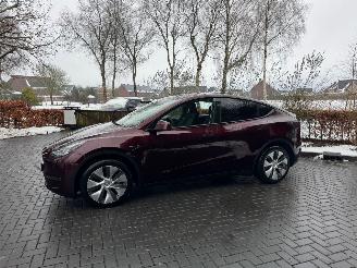 Tesla Model Y Tesla Model Y Long Range Dual AWD Panoramadak Camera Autopilot VOL picture 9