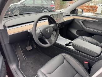 Tesla Model Y Tesla Model Y Long Range Dual AWD Panoramadak Camera Autopilot VOL picture 16