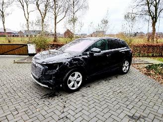 Voiture accidenté Audi Q4 Q4 e-tron 45 e-tron Quattro Heatpump Camera Leer VOL!! 2024/6