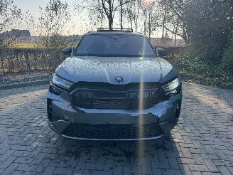 Skoda Kodiaq Skoda Kodiaq RS DSG Panorama HUD Ambiance VOL! picture 30