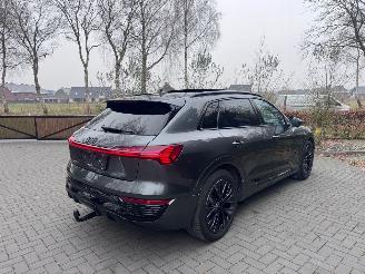 Audi Q8 Audi Q8 e-tron 55 Quattro S-line PANORAMA AHK Camera picture 2