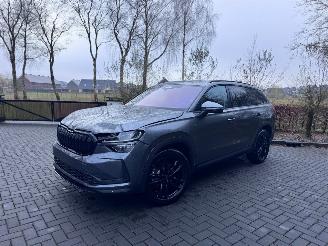 Skoda Kodiaq Skoda Kodiaq 1.5 TSI mHEV 110 kW 7 Persoons Selection Trekhaak Camera VOL picture 12