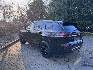 Volkswagen Tayron Volkswagen Tayron 1.5 TSI eHybrid 272pk R-Line 7 Stoelen Trekhaak ! picture 30