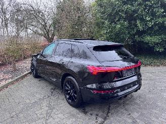 Audi E-tron Audi Q8 e-tron 55 Quattro S line PANO Camera Virtual Mirrors VOL!! picture 13