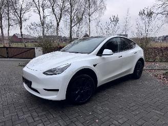 Tesla Model Y Tesla Model Y Long Range RWD PANORAMA Autopilot VOL picture 9