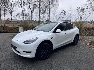 skadebil auto Tesla Model Y Tesla Model Y Long Range RWD PANORAMA Autopilot VOL 2024/11