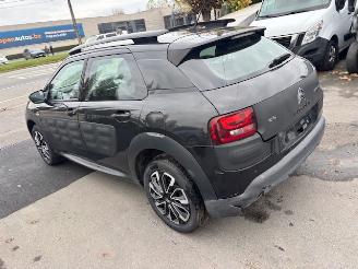 Citroën C4 cactus  picture 5