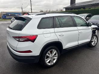 Skoda Karoq  picture 3