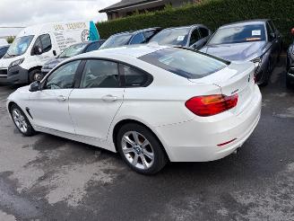 BMW 4-serie GRAN COUPE picture 2