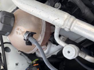 Peugeot 308  picture 13