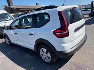skadebil auto Dacia Jogger  2023/1