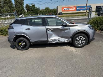 Peugeot 2008  picture 18