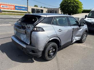 Peugeot 2008  picture 4