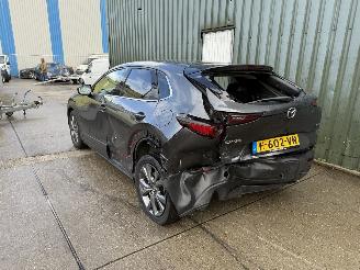 Mazda CX-30 2.0 e-SkyActiv-X M Hybrid Luxury picture 4