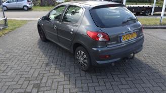 škoda osobní automobily Peugeot 206+ distributieriem eraf gelopen 2010/1