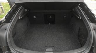 Polestar 2 2 Long range dual engine Plus 82kwh picture 17