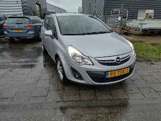 Auto incidentate Opel Corsa 1.3 cdti ann. edition gebruikersschade 2012/1