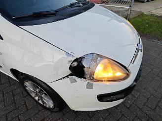 Fiat Punto Evo 1.3 m-jet dynamic picture 11