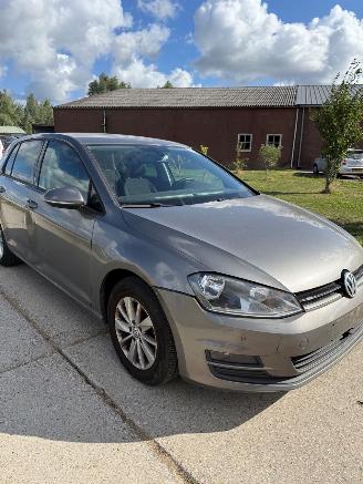 Volkswagen Golf 1.6 TDI picture 2