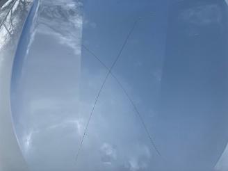 BMW X3 BMW X3 2.0SD  4X4 190PK PANORAMA LEER AUTOMAAT picture 9