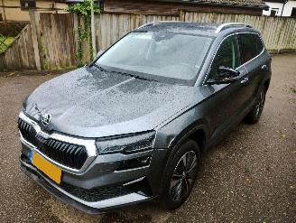 Schadeauto Skoda Karoq 1.5 TSI ACT Business Edition Plus 2023/3
