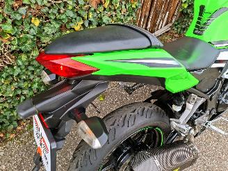 Kawasaki  Ninja 300 Anniversary Edition picture 8