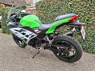 Kawasaki  Ninja 300 Anniversary Edition picture 15