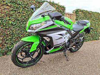Kawasaki  Ninja 300 Anniversary Edition picture 10