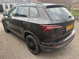 Avarii autoturisme Skoda Karoq 1.0 TSI Business Edition 110PK 2023/5
