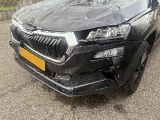 Skoda Karoq 1.0 TSI Business Edition 110PK picture 9