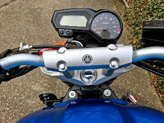 Yamaha FZ 6 Fazer ABS picture 17
