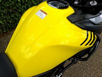 Suzuki DL 650 V-Strom picture 6