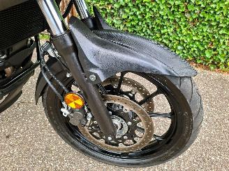 Suzuki DL 650 V-Strom picture 11