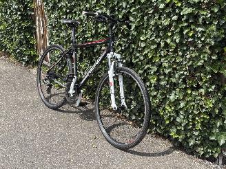 Koga-Miyata  SPORT picture 13