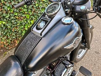 Harley-Davidson  Fat Boy Low Special FLSTFB 103 (5HD) picture 4