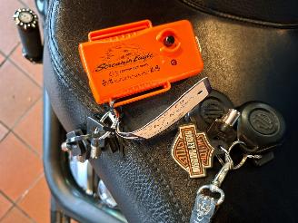 Harley-Davidson  Fat Boy Low Special FLSTFB 103 (5HD) picture 22