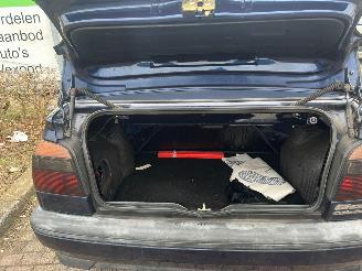 Volkswagen Golf CABR. 66 KW AUT E2 picture 15