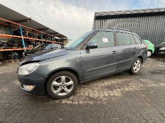 Skoda Fabia 1.2 TDI 12V Greenline Combi/o 4Dr Diesel 1.199cc 55kW (75pk) FWD 2010-05/2014-12  CFWA picture 9