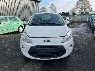 krockskadad bil auto Ford Ka 1.2 Hatchback  Benzine 1.242cc 51kW (69pk) FWD 2008-10/2016-05 (RU8) 169A4000; EURO4 2009/11