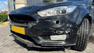 Ford Focus WF06XXGCC6FD59458 picture 13