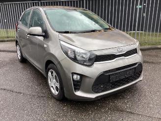 Sloopauto Kia Picanto Picanto (JA), Hatchback, 2017 1.0 12V 2019/5