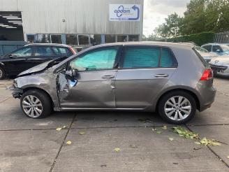 Volkswagen Golf Golf VII (AUA), Hatchback, 2012 / 2021 1.6 TDI 16V picture 7