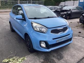 Vrakbiler auto Kia Picanto Picanto (TA), Hatchback, 2011 / 2017 1.0 12V 2011/11